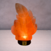 Himalaya Rock Salt Lamp Big Leaf