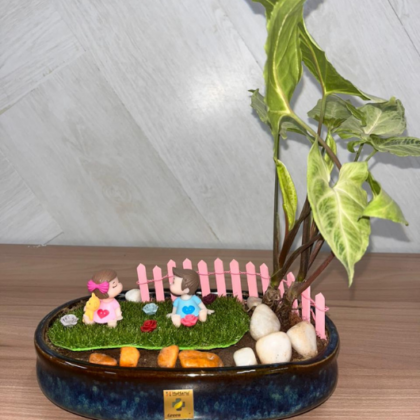 Arrowhead Plant (Medium Theme)