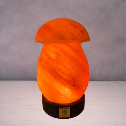 Himalaya Rock Salt Lamp Mushroom