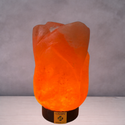 Himalaya Rock Salt Lamp Rose