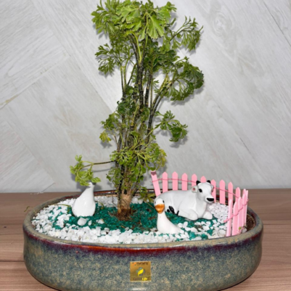 Ming Aralia (Large Theme) (2)