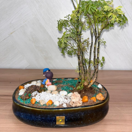 Ming Aralia (Large Theme)