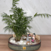 Parlour Palm (Large Theme) (4)