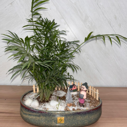 Parlour Palm (Large Theme) (4)