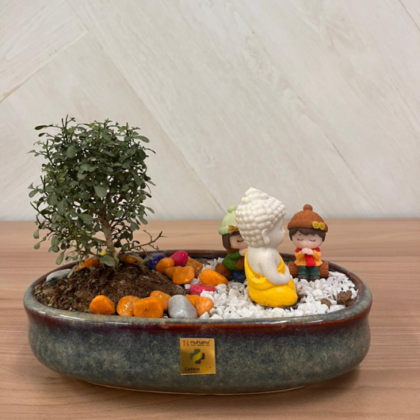 Table Kamini Bonsai Plant(Medium Theme)
