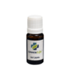Root Chakra Essential Oil Blend 10ml | Grounding Aromatherapy Oil | Emotional Wellness Blend