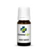 Energy Booster Essential Oil Blend 10ml | Uplifting Aromatherapy Oil | Focus & Wellness Blend